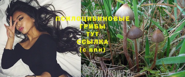 бошки Алексеевка