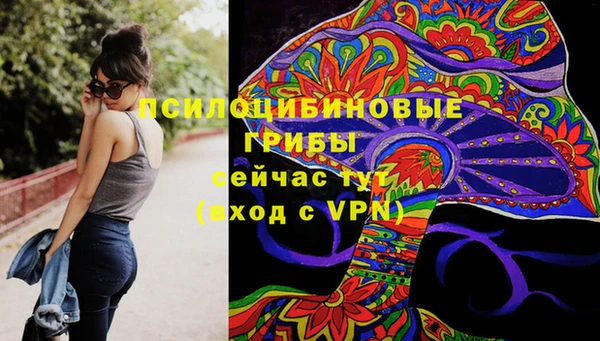 метамфетамин Алексин
