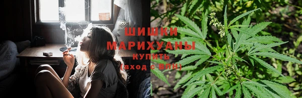 бошки Алексеевка