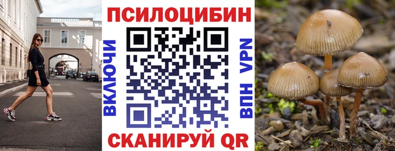 сайты даркнета какой сайт  Палласовка  Галлюциногенные грибы Cubensis 